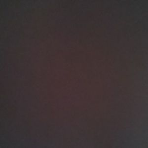 Meet your Posher, Everett